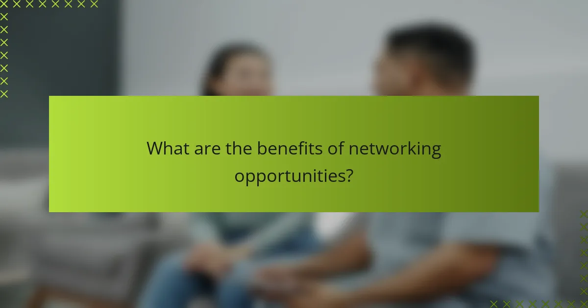What are the benefits of networking opportunities?