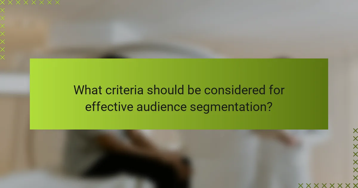 What criteria should be considered for effective audience segmentation?